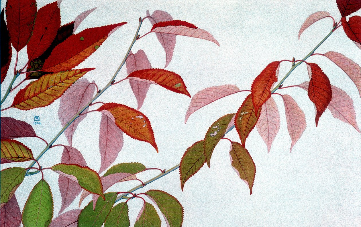 Autumn Leaves, Philippe Robert, Robert Ried kiadások alkotó: Philippe Robert