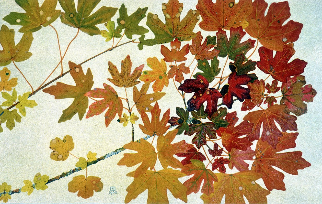Autumn Leaves, Philippe Robert, Robert Ried kiadások alkotó: Philippe Robert