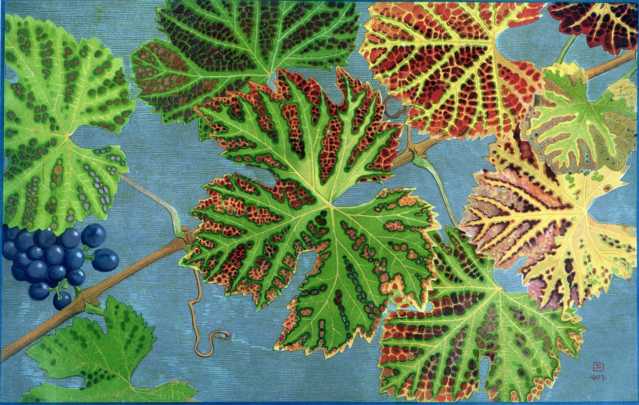 Autumn Leaves, Philippe Robert, Robert Ried kiadások alkotó: Philippe Robert