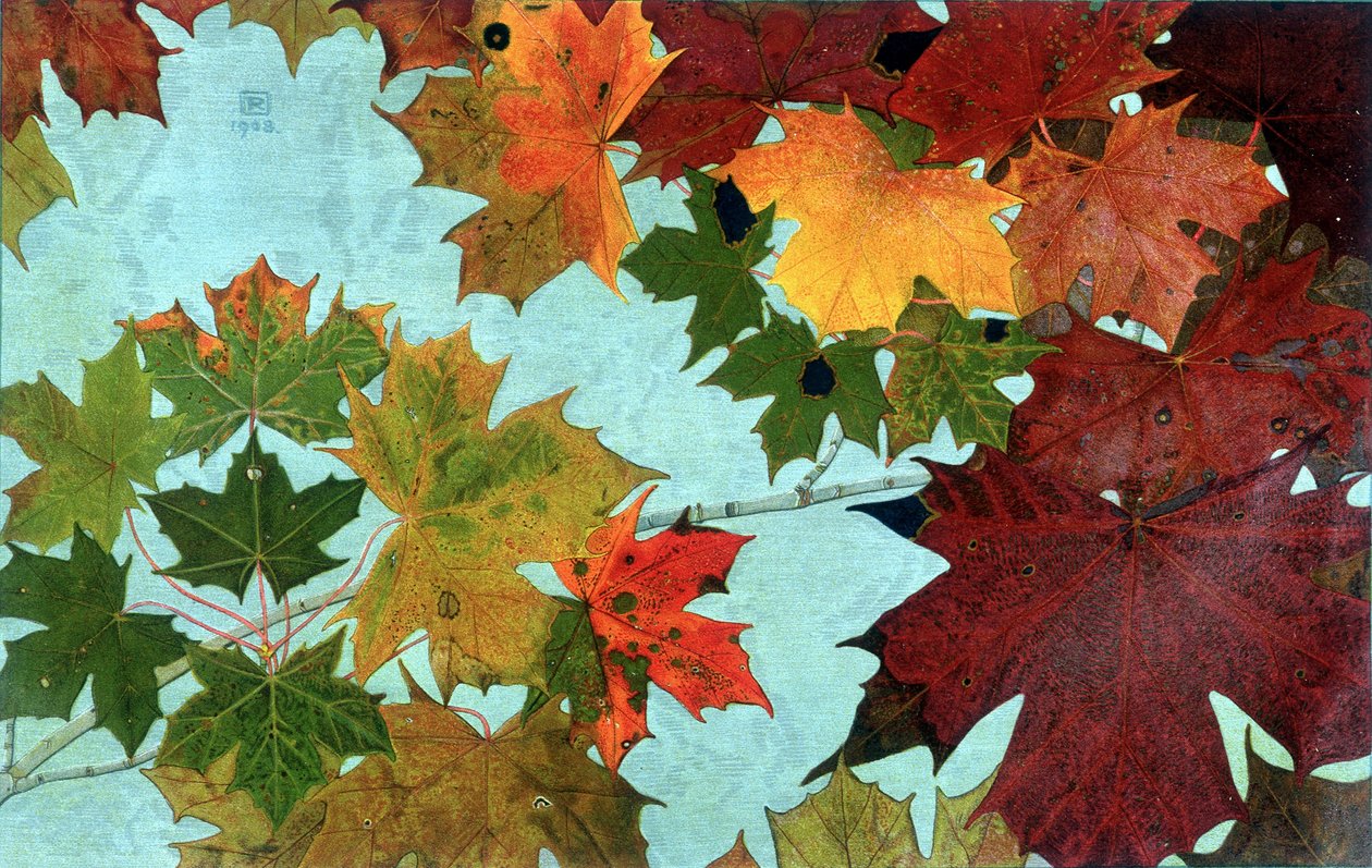 Autumn Leaves, Philippe Robert, Robert Ried kiadások alkotó: Philippe Robert