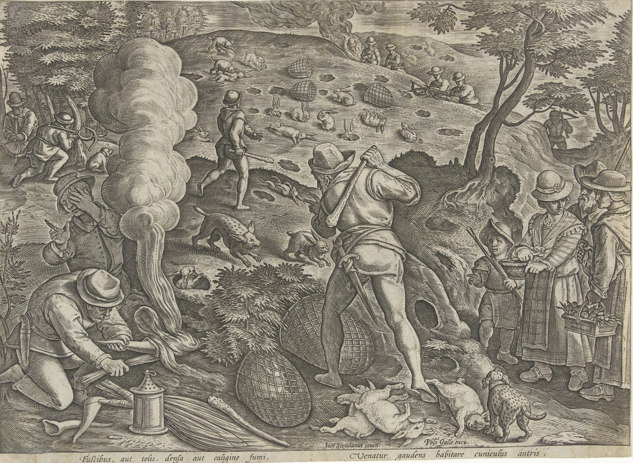 Konijnenjacht Jachttaferelen (sorozat címe) Amelyben mindenféle vadászat, madártartás és horgászat (sorozat címe) alkotó: Philips Galle (possibly)