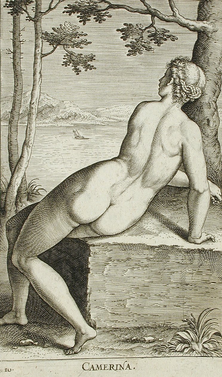 Camerina alkotó: Philips Galle