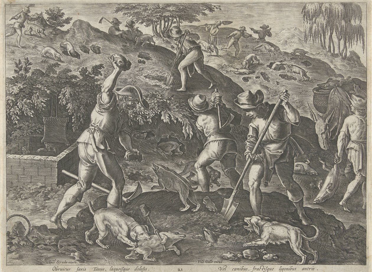 Jacht op dassen Jachttaferelen (sorozat címe) Amelyben mindenféle vadászat, madártartás és horgászat (sorozat címe) alkotó: Philips Galle
