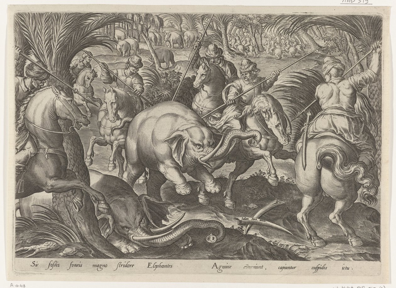 Jacht op olifante Jachttaferelen (sorozat címe) Amelyben mindenféle vadászat, madártartás és horgászat (sorozat címe) alkotó: Philips Galle