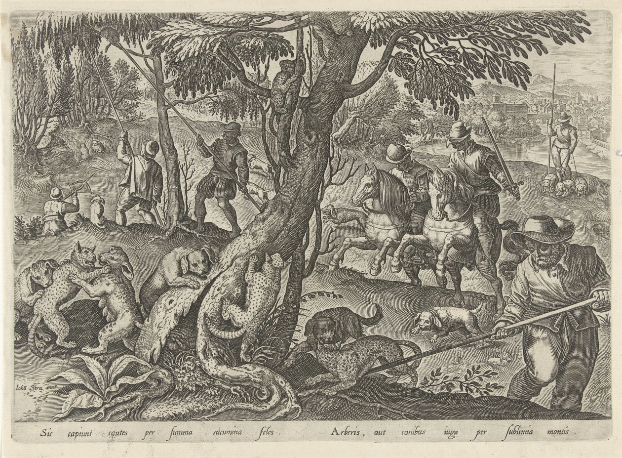 Jacht op wilde katten Jachttaferelen (sorozat címe) Amelyben mindenféle vadászat, madártartás és horgászat (sorozat címe) alkotó: Philips Galle