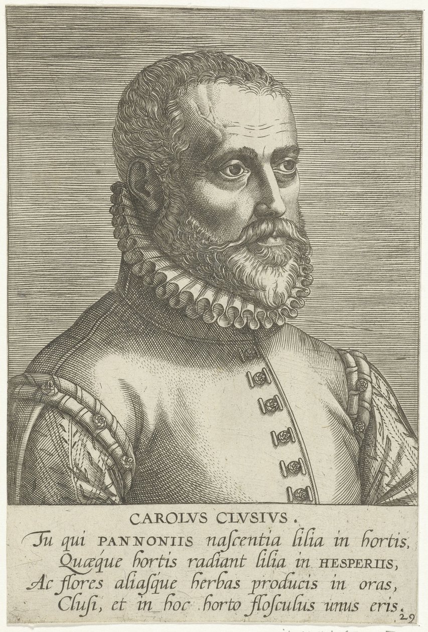 Carolus Clusius portréja alkotó: Philips Galle