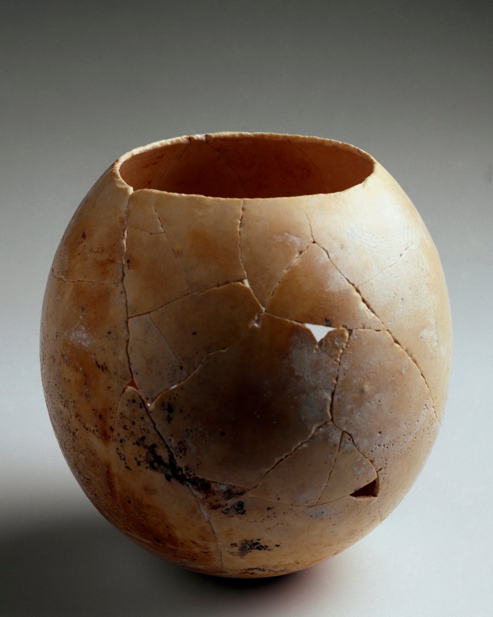 Föníciai művészet: üres strucctojás. Lauritától (Almunecar). Kr.e. 7. század. Homályos. 13,2 cm Granada, Museo Arqueologico alkotó: Phoenician