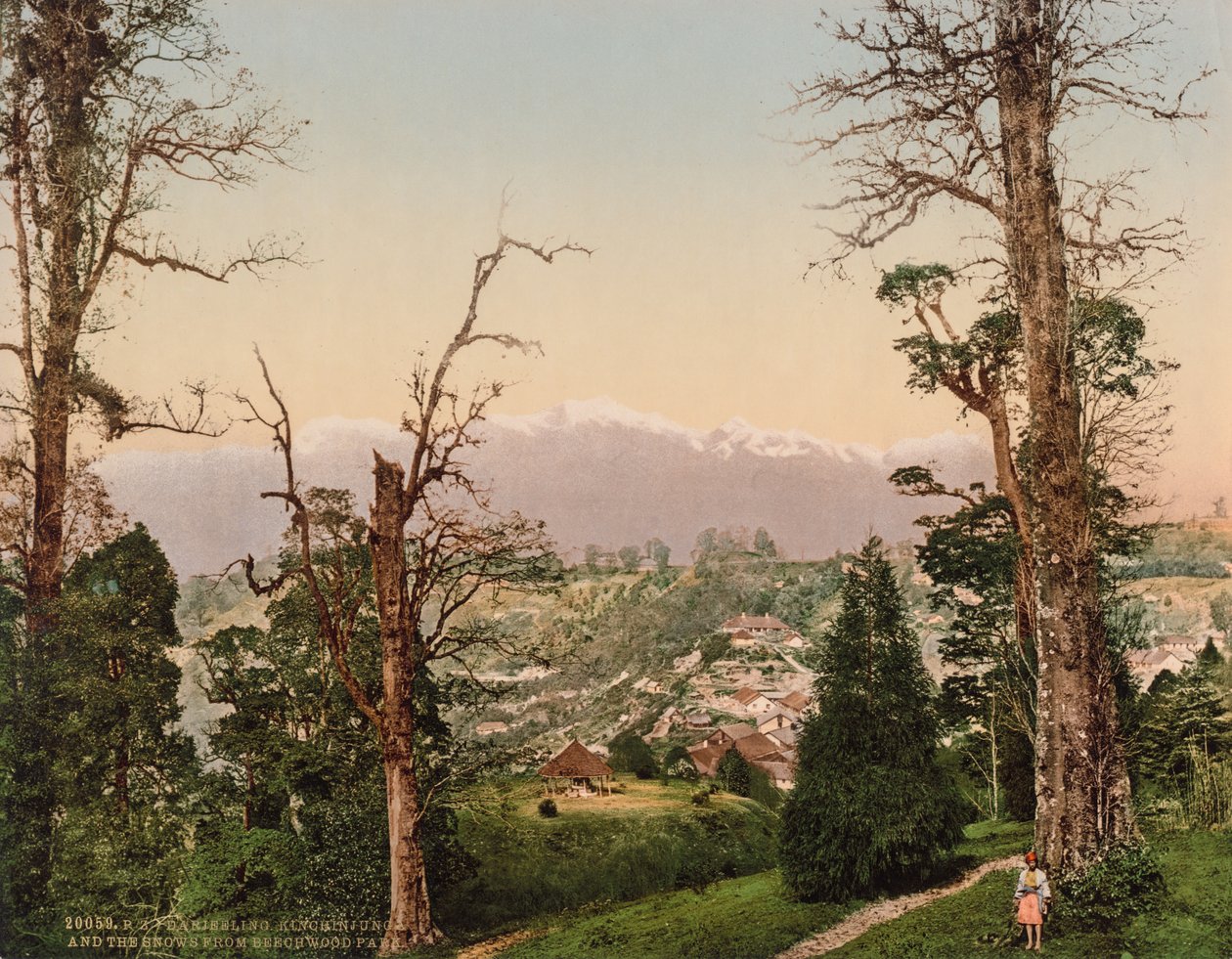 Darjeeling. Kinchinjunga és a havas a Beechwood Parkból alkotó: Photoglob Co. (Zurich, active c. 1890 1910)