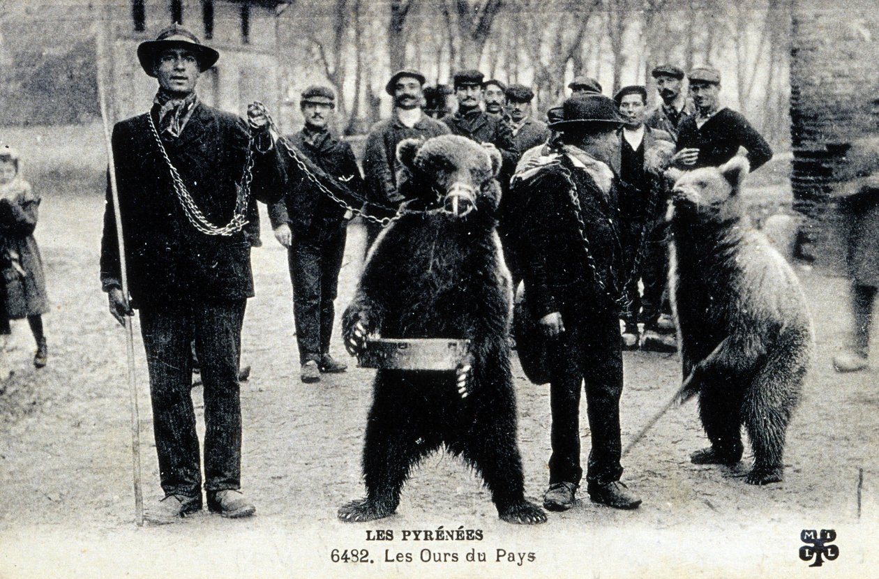 Medvebemutatók a Pireneusokban, 1900 körül (fekete-fehér fotó) alkotó: Photographer French