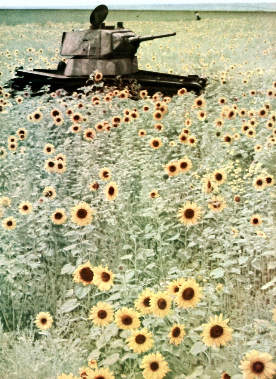Barbarossa hadművelet alkotó: Photographer German