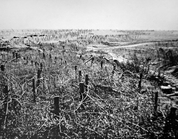 világháborús szögesdrót védelme a német Beaurevoir pozícióban, a Hindenburg-vonal része alkotó: Photographer German
