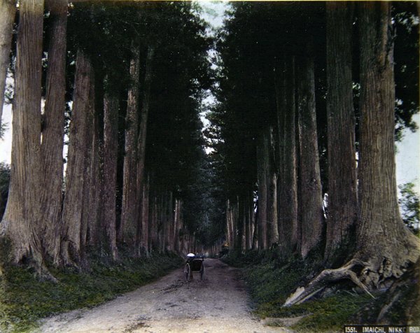 Riksa egy fákkal szegélyezett úton Nikkonál, 1900 körül (színes fotó) alkotó: Photographer Japanese