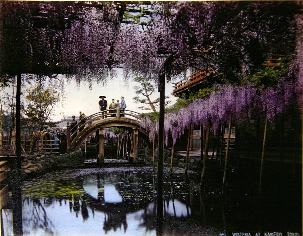 Fűzfavessző Kameido kertjében, 1900 körül (színes fotó) alkotó: Photographer Japanese