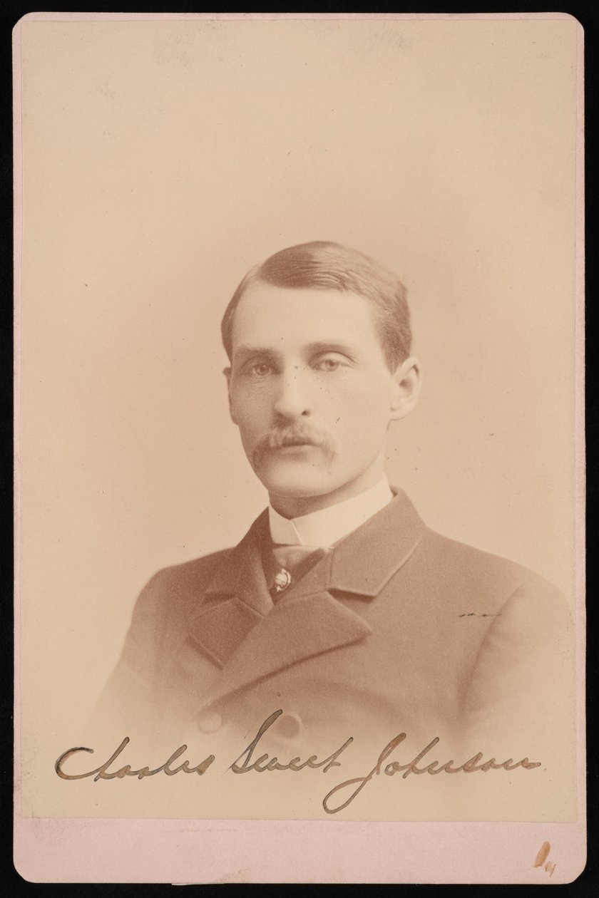 Charles Sweet Johnson portréja, 1870-1871. alkotó: Photographic Art Company