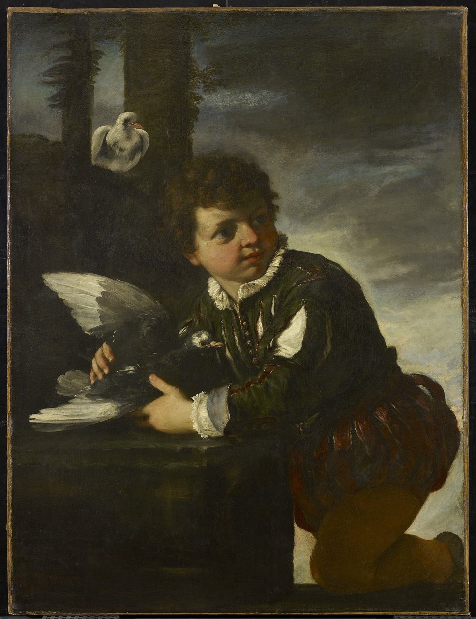 Fiú galambbal, 1650-55 körül alkotó: Pier Francesco Mola