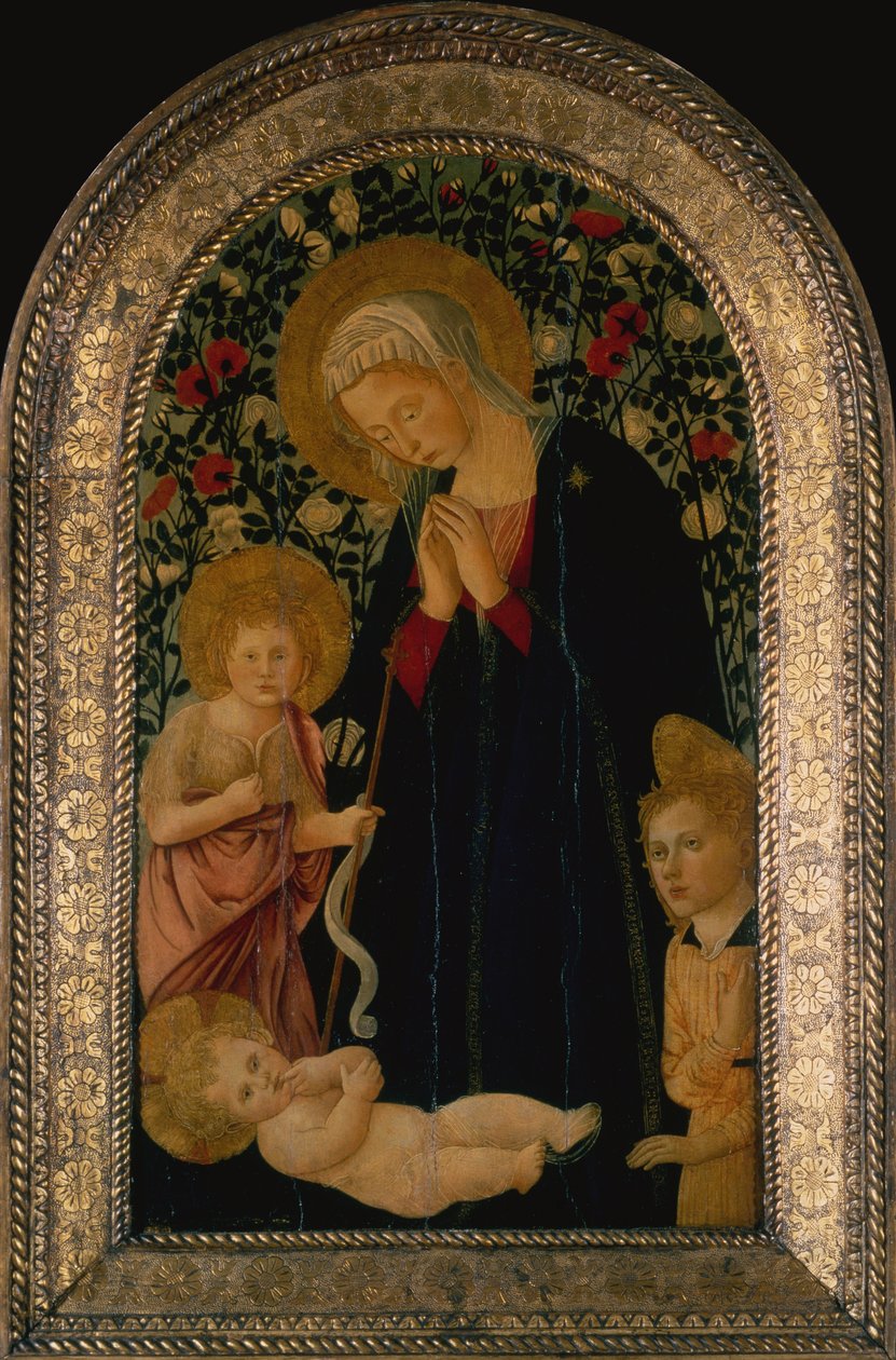 A Gyermekimádó Madonna Keresztelő Szent János csecsemővel, mögötte angyal és rózsasövény (tempera a panelen) alkotó: Pier Francesco Fiorentino