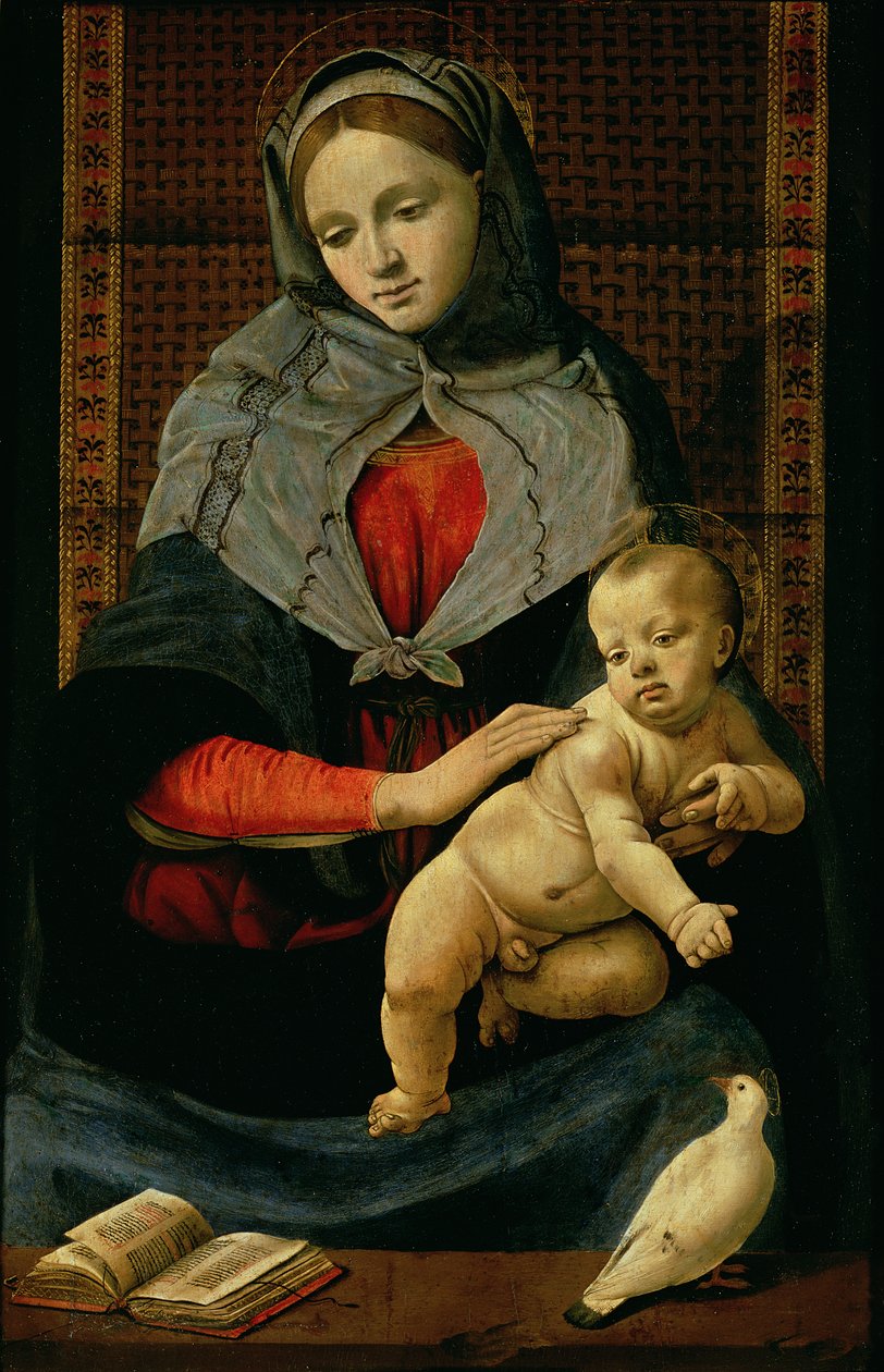 Madonna és a gyermek galambbal alkotó: Piero di Cosimo