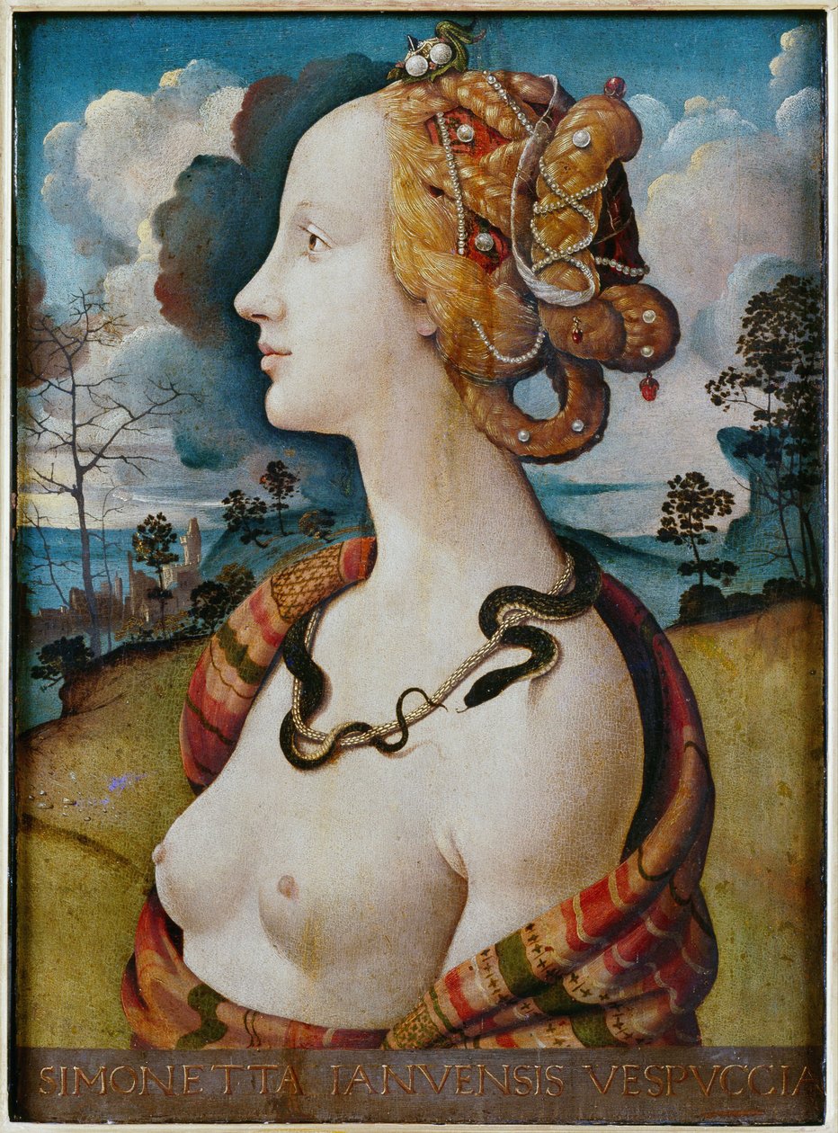Egy nő portréja Simonetta Vespucci -ról szólt alkotó: Piero di Cosimo