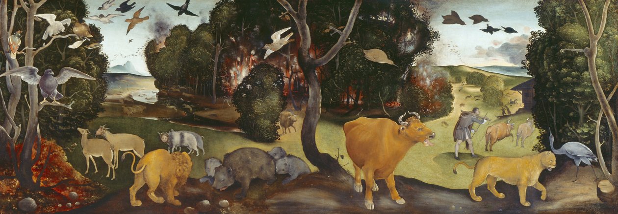 Az erdőtűz, 15. század alkotó: Piero di Cosimo