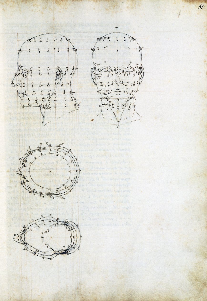 A fej felépítése és geometriai vetülete, oldal a De Prospectiva pingendi-ből (A festészet szemszögéből), Piero della Francesca (kb. 1415-1492), Olaszország alkotó: Piero della Francesca
