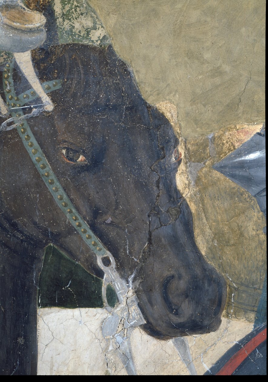 Az igaz kereszt legendája, Konstantin győzelme a Milvi-hídi csatában, részlet a lovak fejéről, elkészült 1464 freskó lásd még 116343 alkotó: Piero della Francesca
