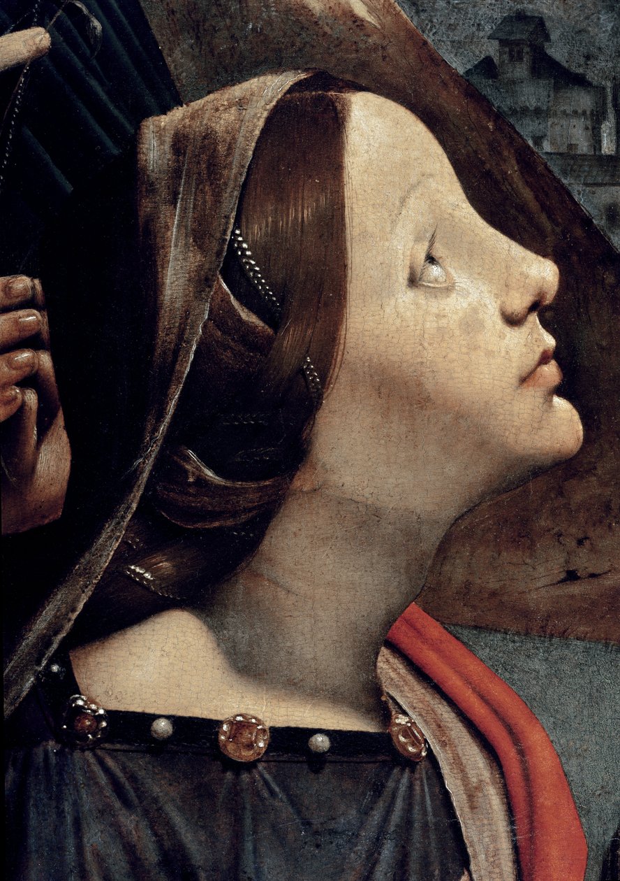 Alexandriai Szent Katalin, Szűz és Gyermek részlete a trónon, szentekkel körülvéve (olaj és tempera a táblán, 1493 körül) alkotó: Piero di Cosimo