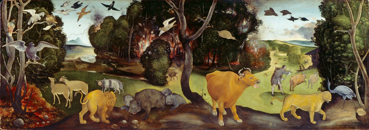 Az erdőtűz, c1505 alkotó: Piero di Cosimo