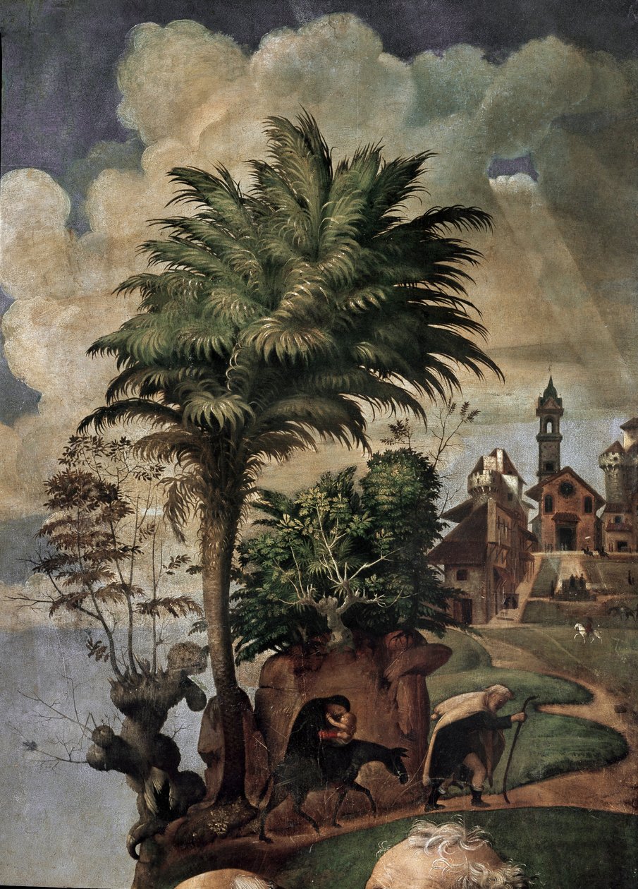 Szűz és gyermek a trónon szentekkel körülvéve, részlet (olaj és tempera a táblán, 1493 körül) alkotó: Piero di Cosimo