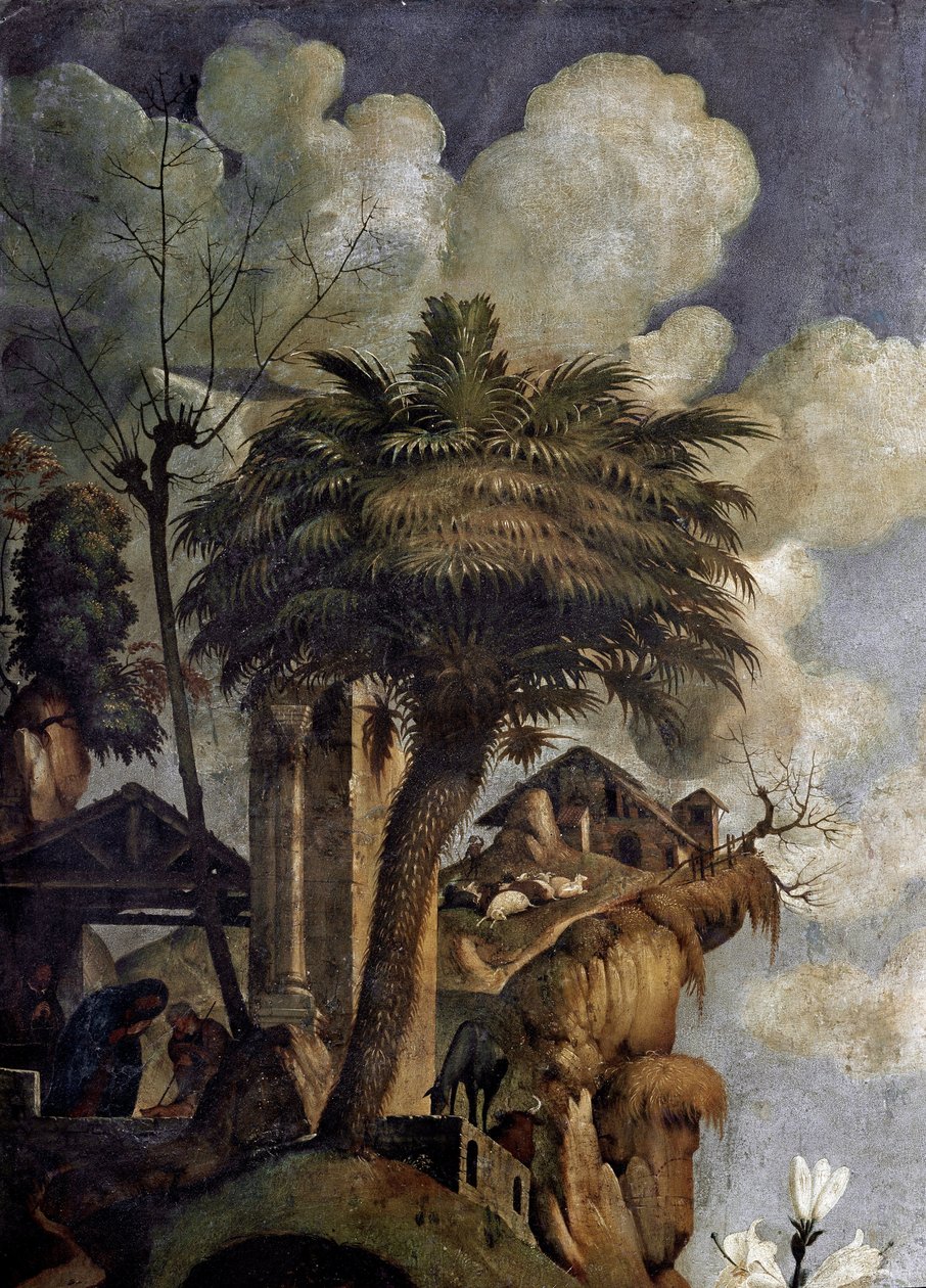Szűz és gyermek a trónon szentekkel körülvéve, részlet (olaj és tempera a táblán, 1493 körül) alkotó: Piero di Cosimo