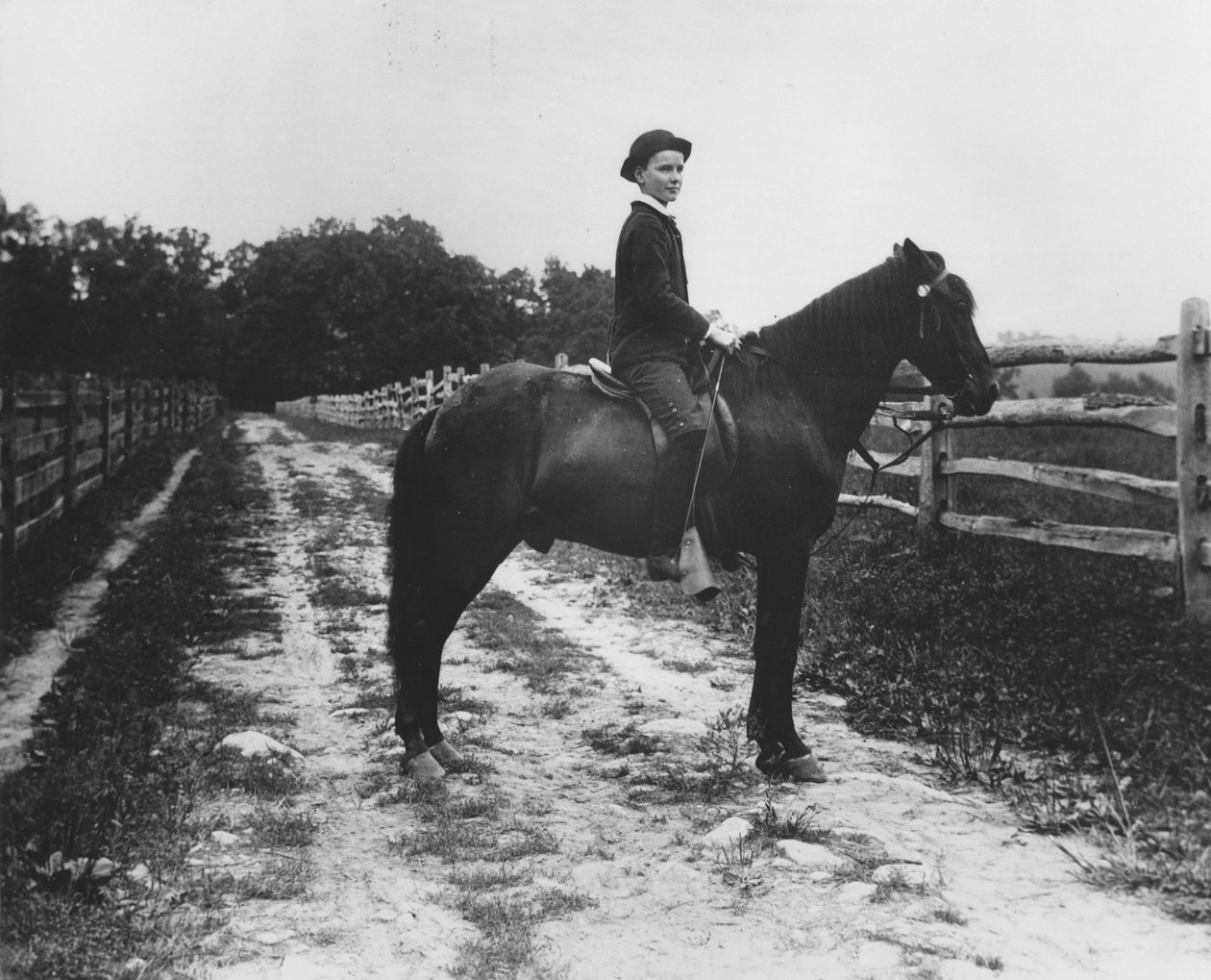 Mr. Eugene du Pont fia lóháton alkotó: Pierre A. Gentieu