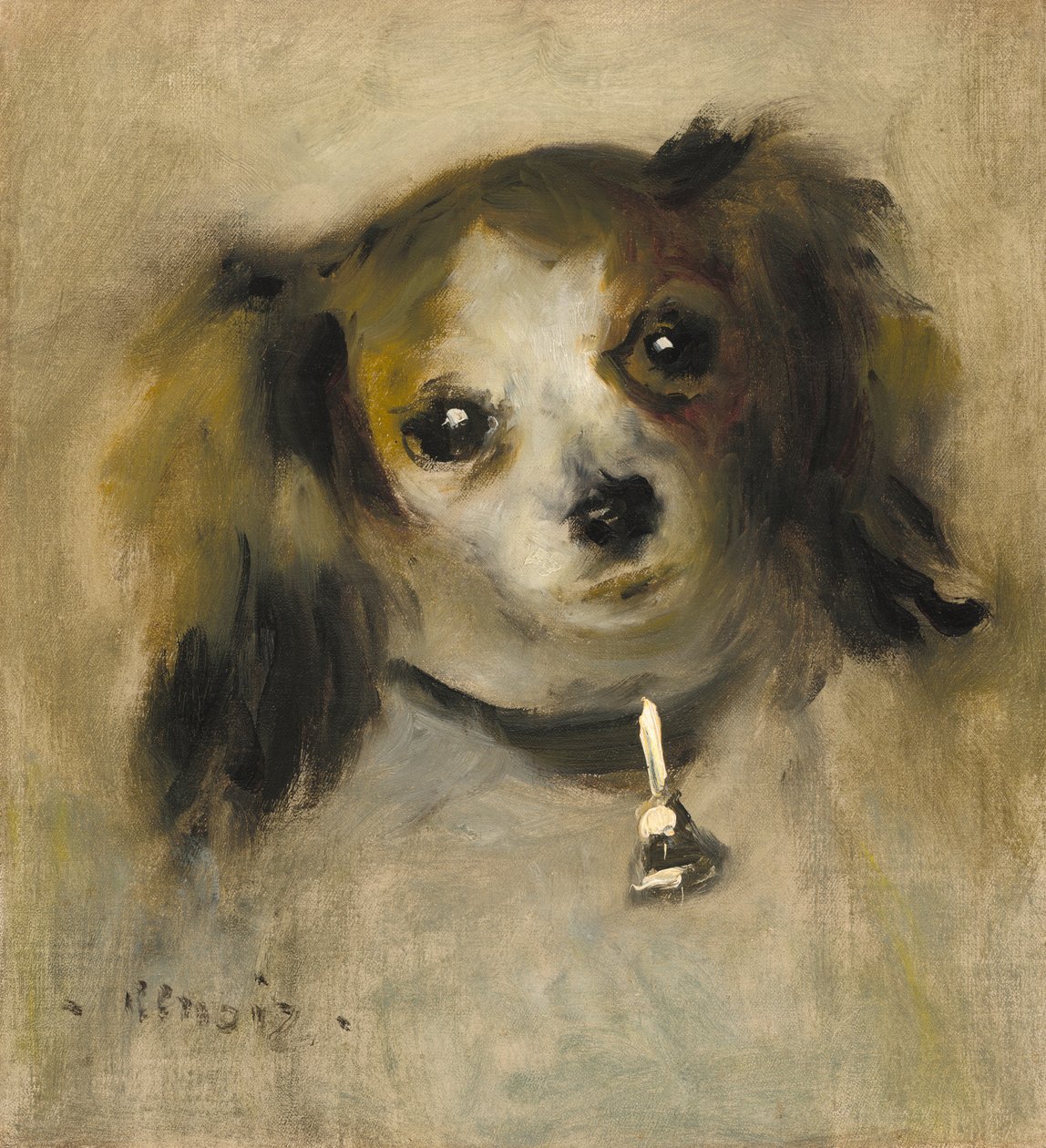 Egy kutya feje, 1870 alkotó: Pierre Auguste Renoir