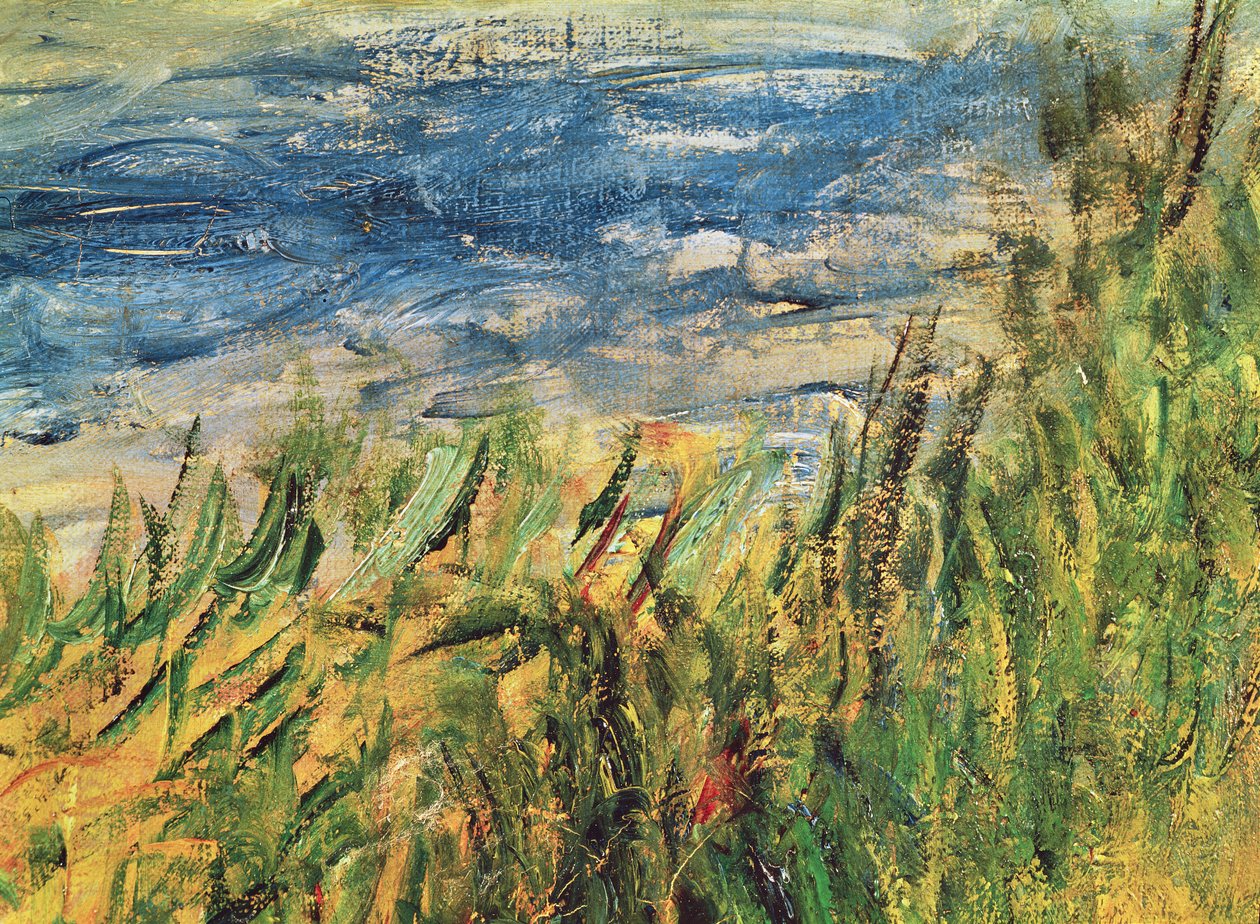 A Szajna partja Champrosay-nál, a víz és a fű részlete a kép közepén, 1876 (a 38573-as kép részlete) alkotó: Pierre Auguste Renoir
