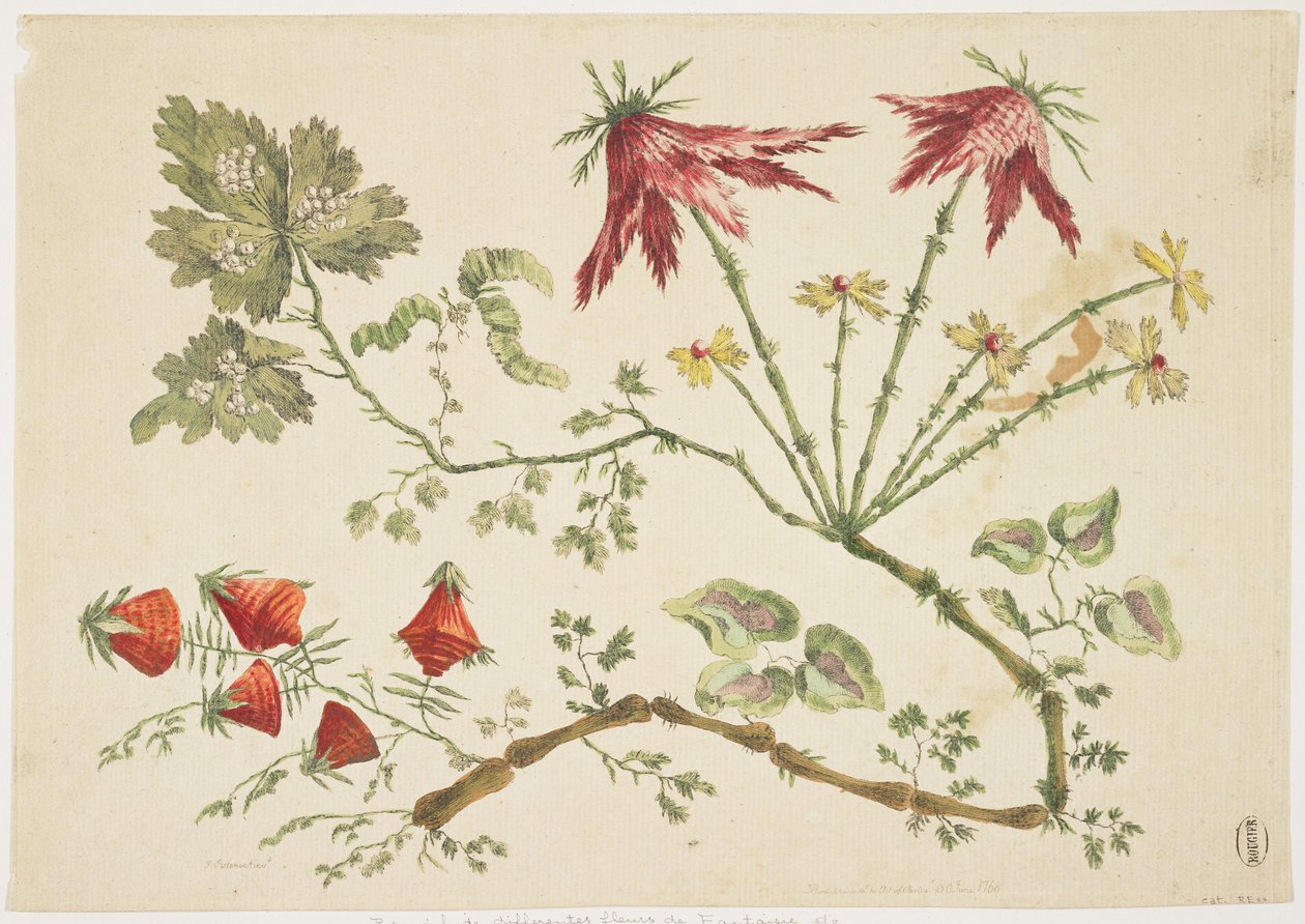 Dísz, Chinoiserie, Virágok, 1760. június 30. (színes rézkarc) alkotó: Pierre Charles Canot
