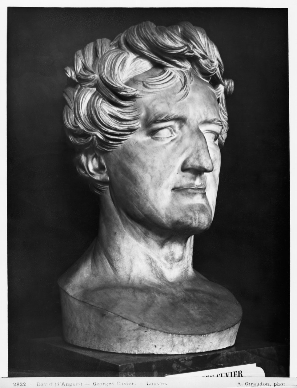 Georges Cuvier, 1833 (márvány) alkotó: Pierre Jean David d