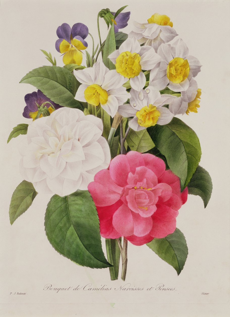 Kaméliák, nárciszok és árvácskák, Victor metszete, pub. 1827 (kézzel színezett stiffle-metszet) alkotó: Pierre Joseph Redouté