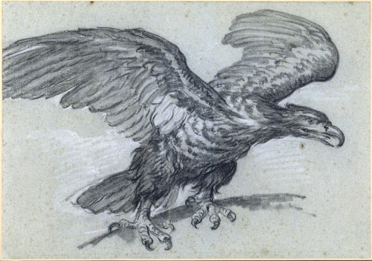 Egy sas, 1811 alkotó: Pierre Paul Prudhon