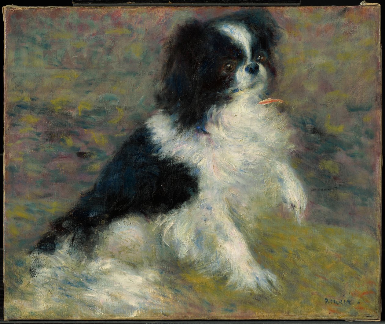 Tama, a japán kutya alkotó: Pierre-Auguste Renoir