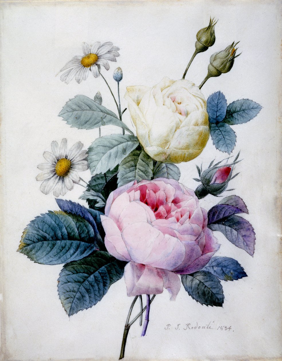 Csokor rózsacsokor százszorszépekkel, 1834-ben jelent meg (kézzel festett, metszett pecsét) alkotó: Pierre Joseph Redouté