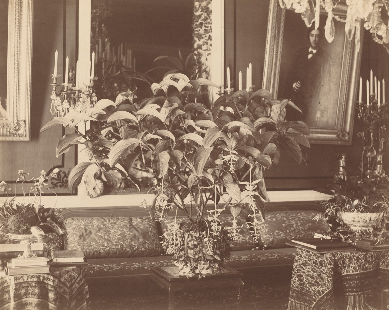 Belső, 1860-as évek. alkotó: Pierre Ambrose Richebourg