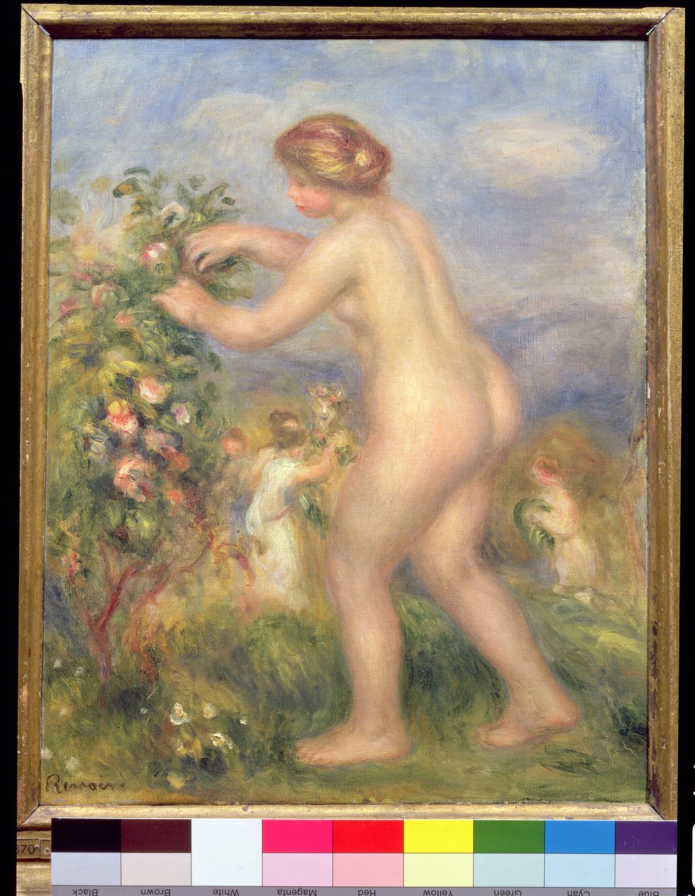 Női meztelen virágot szed alkotó: Pierre Auguste Renoir