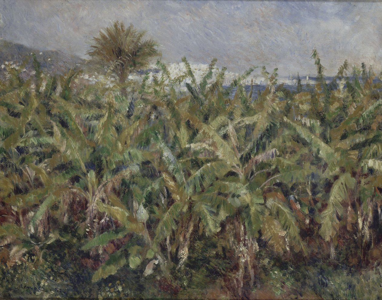 Banánfák mezője, Champ de bananiers, 1881 alkotó: Pierre Auguste Renoir