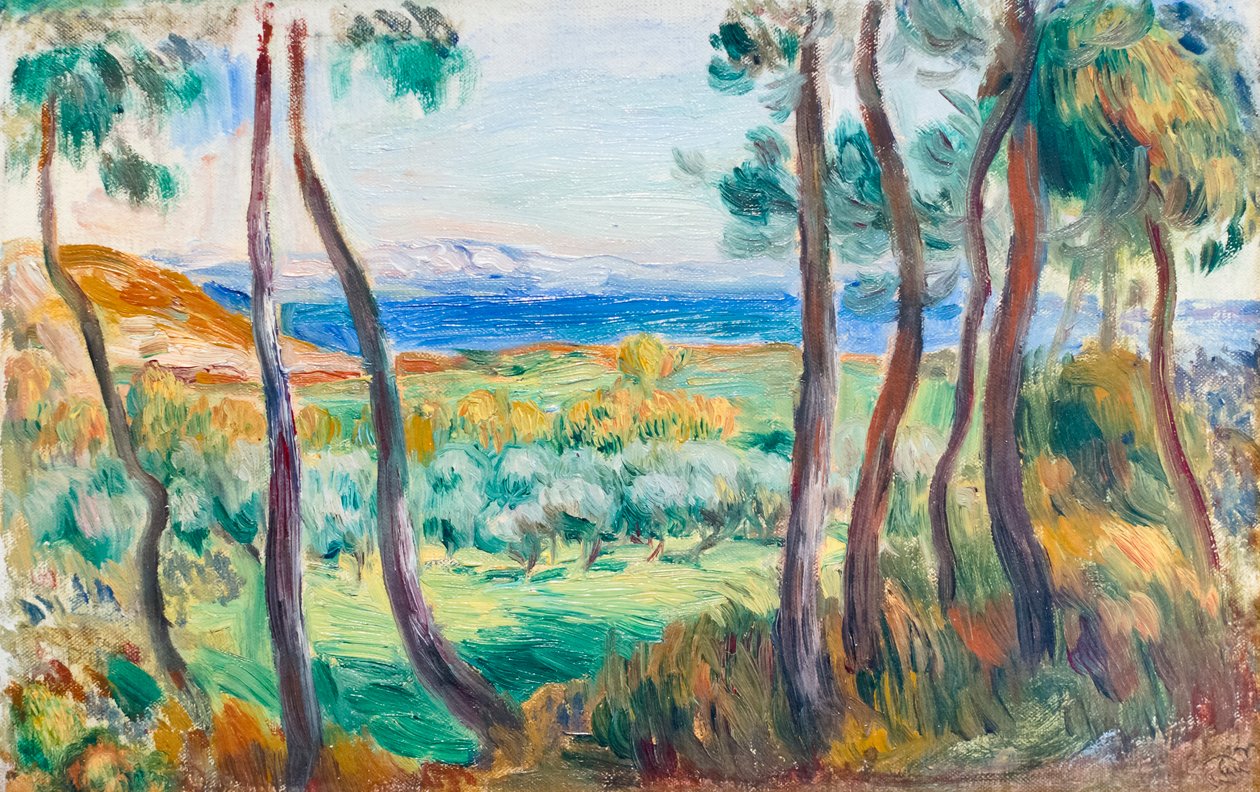 Fenyők Cagnes közelében, c. 1910 (olaj, vászon) alkotó: Pierre Auguste Renoir