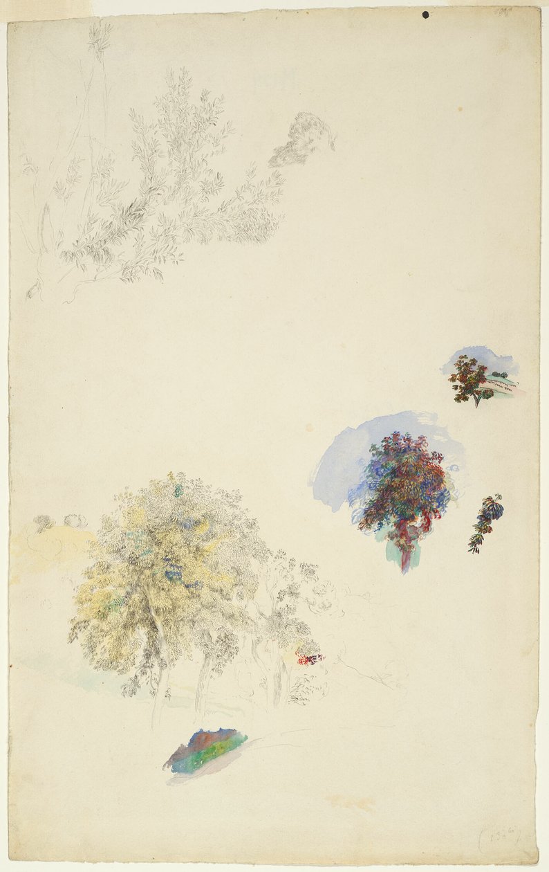 Fák és lombozat tanulmányozása alkotó: Pierre Auguste Renoir