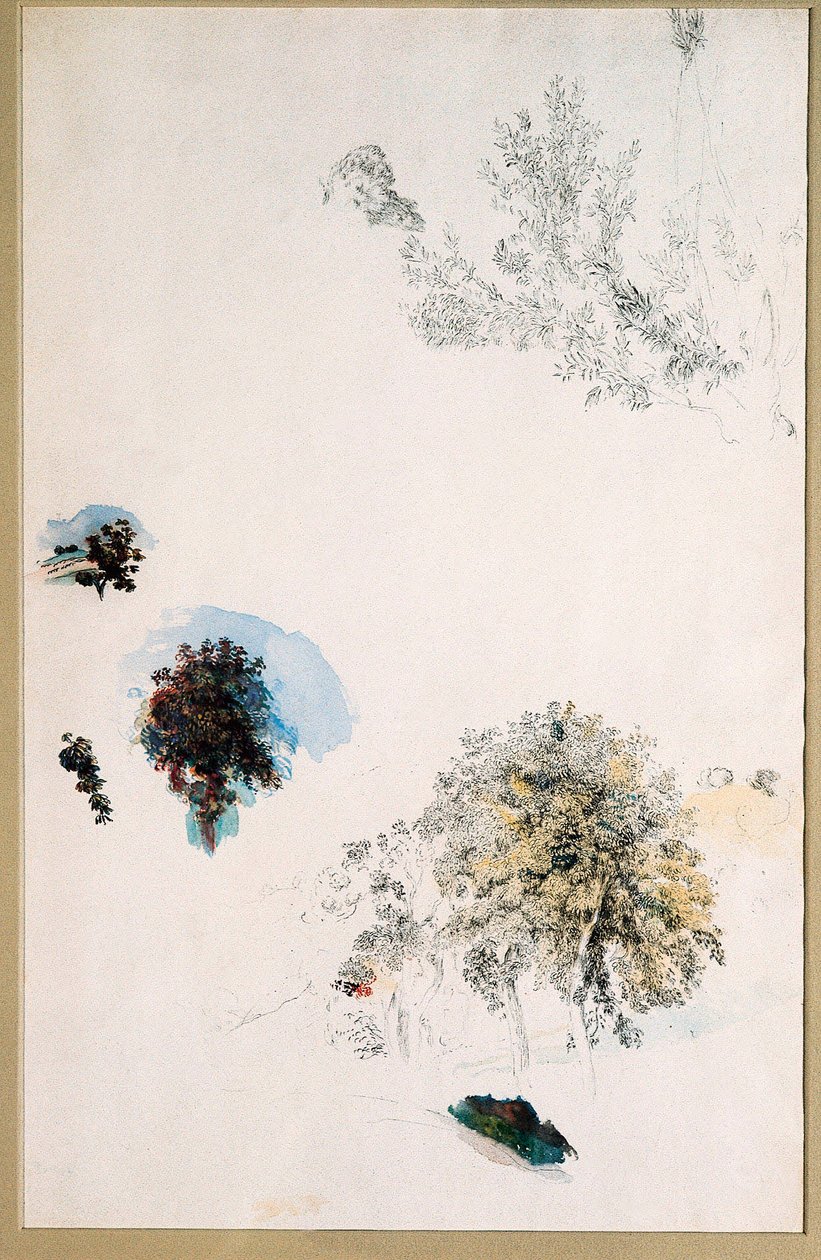 Fák tanulmányozása alkotó: Pierre Auguste Renoir