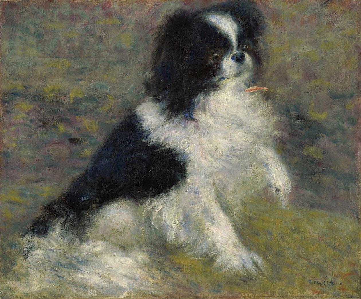 Tama, a japán kutya, 1876 körül alkotó: Pierre Auguste Renoir