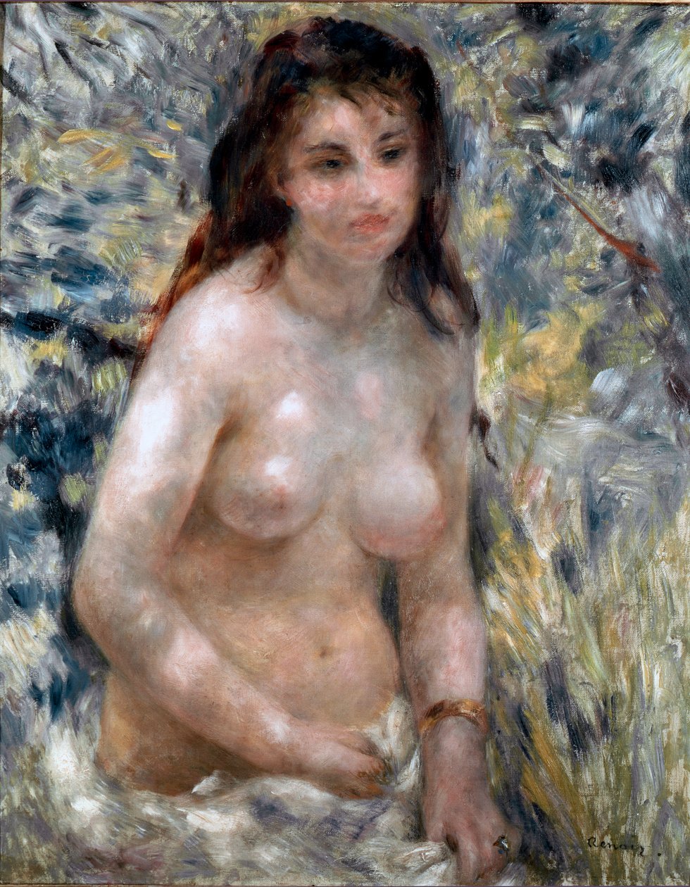 Törzs, nap hatása alkotó: Pierre Auguste Renoir