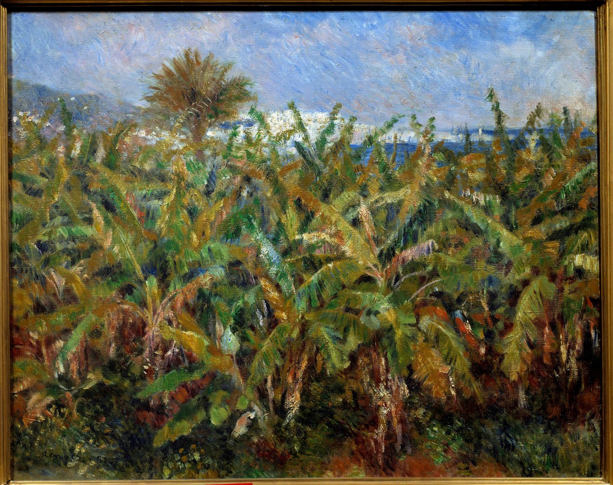 Un champ de bananas Pierre Auguste Renoir (1841-1919) festménye 1881 V. 0,51x0,63 m Párizs, Muse d