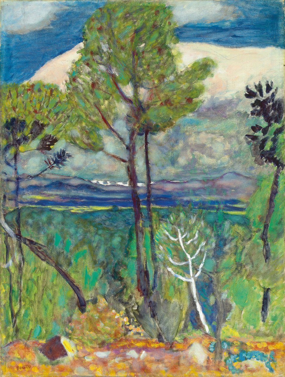 The Pines, By the Sea, 1923 körül (olaj, vászon) alkotó: Pierre Bonnard