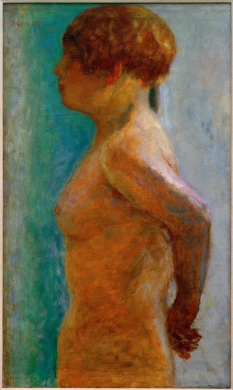 Női törzs profilban alkotó: Pierre Bonnard