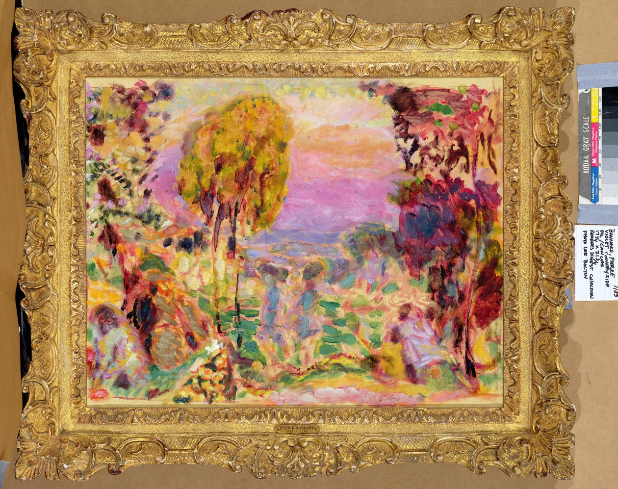 Ibolya vidék alkotó: Pierre Bonnard